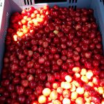 IMG-20170610-WA0000